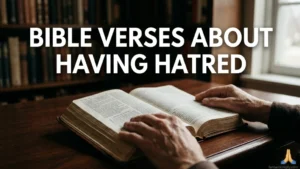 Bible Verses About Having Hatred